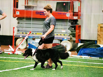 Tiffany doing Dog Agility Training in Townsend, DE